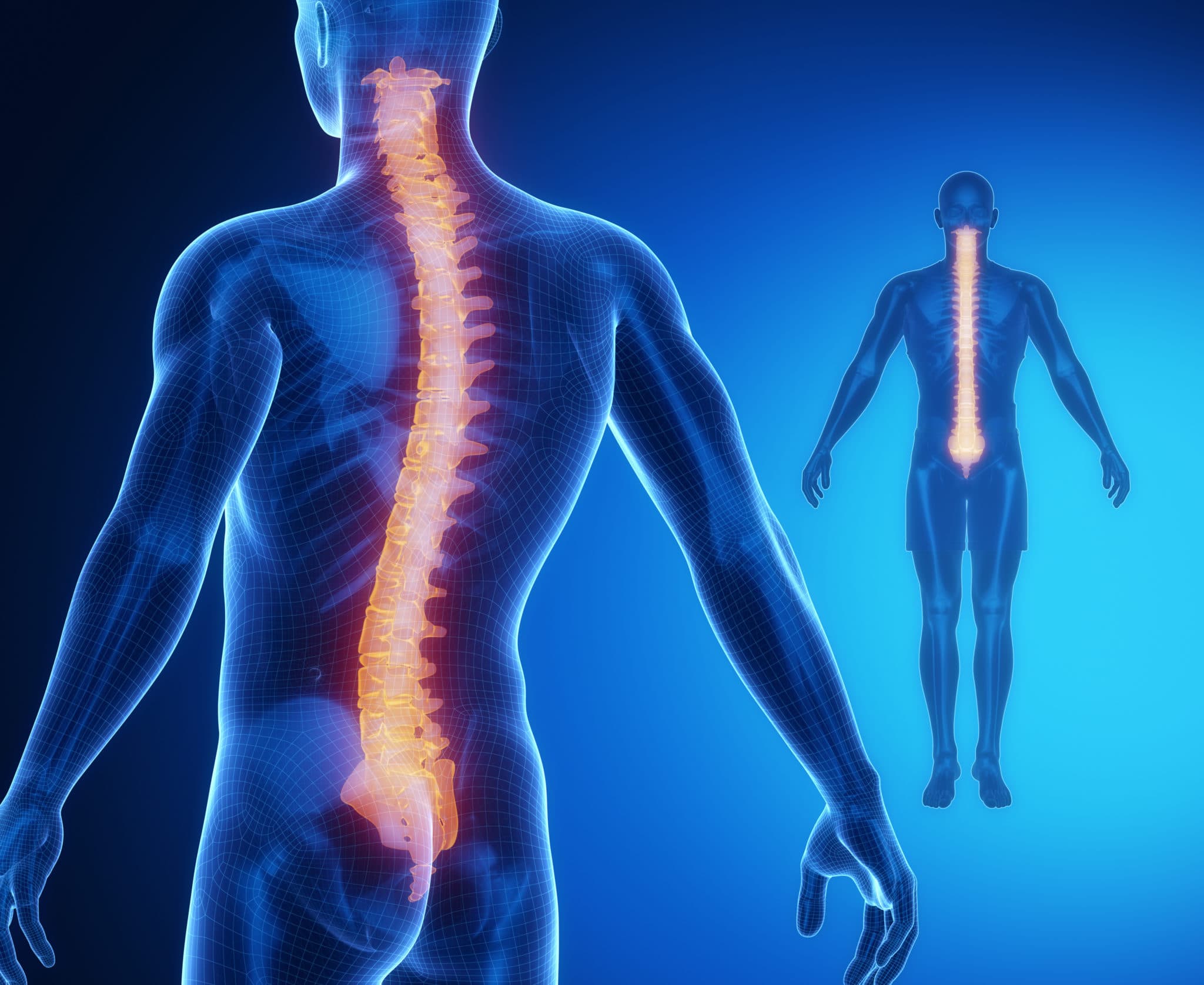 Spinal Cord injuries
