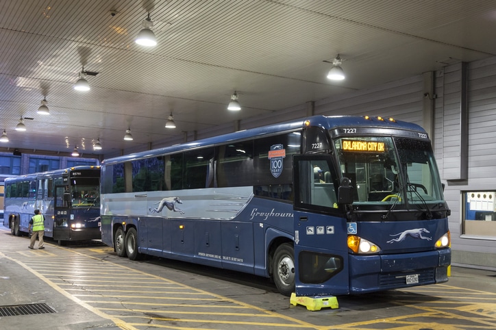 greyhound