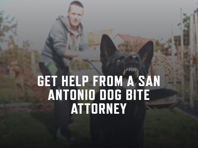 san antonio dog bite attorney